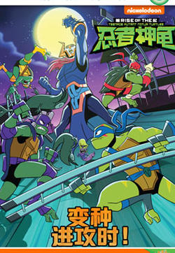 忍者神龟崛起：阶段阅读的封面