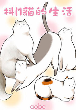 抖m猫的生活的封面图