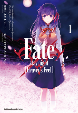 Fate/stay night [Heaven's Feel]的封面图
